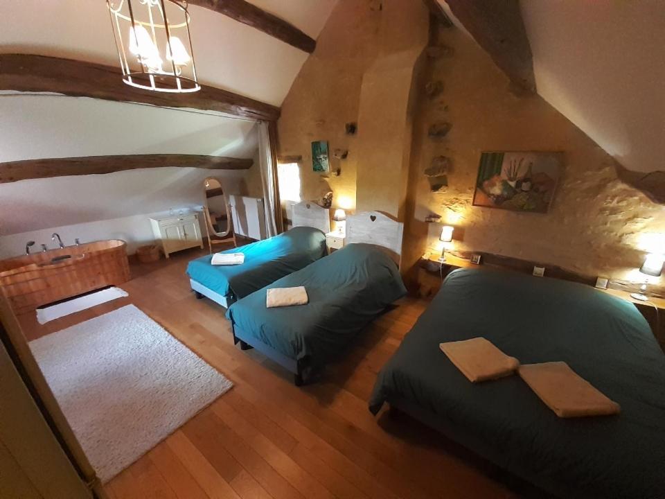 Maison De Blanche Chaudenay-le-Château Esterno foto