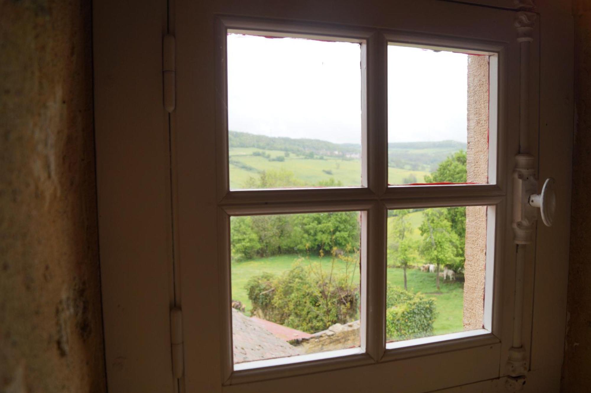 Maison De Blanche Chaudenay-le-Château Esterno foto